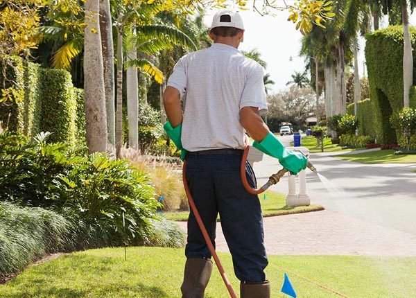 About Belva WV Pest Control